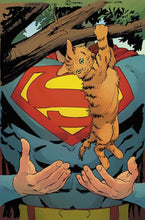 SUPERMAN UNLIMITED #5 CVR D MATTEO LOLLI CARD STOCK VAR