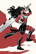 ABSOLUTE WONDER WOMAN #14 CVR C TERRY DODSON CARD STOCK VAR