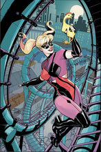 HARLEY QUINN #57 CVR E TERRY DODSON & RACHEL DODSON CARD STOCK VAR (#200)
