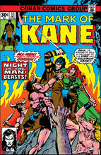 SOLOMON KANE THE ORIGINAL COMICS OMNIBUS HC VOL 01 DIRECT MARKET EDITION CVR (MR)