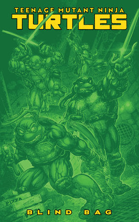 Teenage Mutant Ninja Turtles #13 Variant F (Blind Bag)