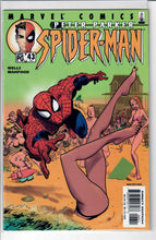 Peter Parker: Spider-Man Vol. 1   #43/141