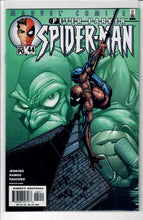 Peter Parker: Spider-Man Vol. 1   #44