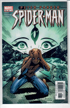 Peter Parker: Spider-Man Vol. 1   #48