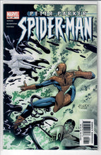 Peter Parker: Spider-Man Vol. 1   #49